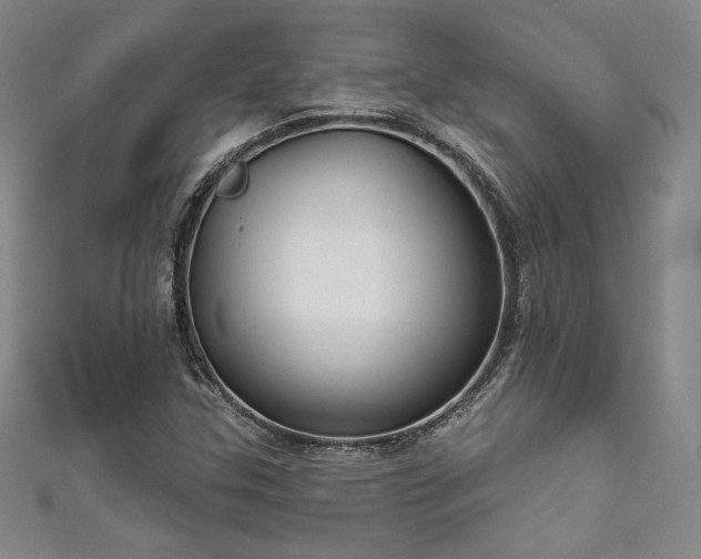 X0000111831307200907231308