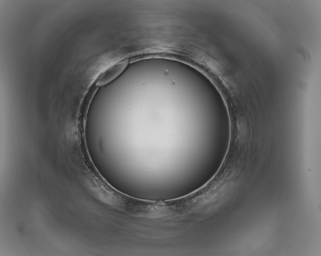 X0000111831308200907231308