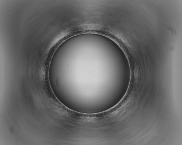 X0000111831309200907231308