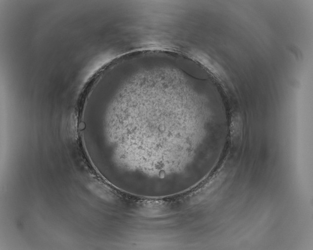 X0000111831310200907231308