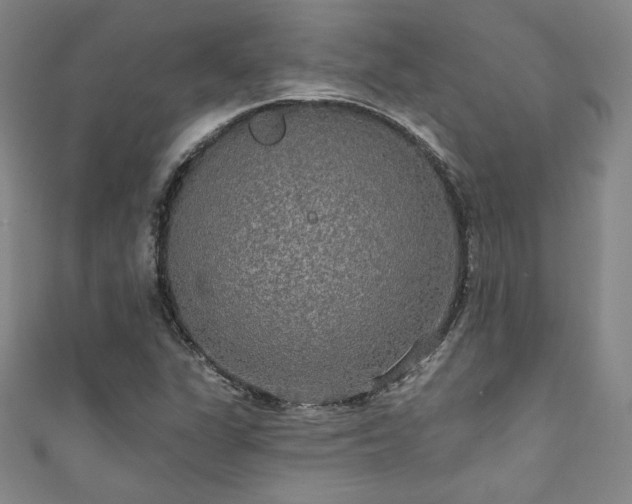 X0000111831311200907231308