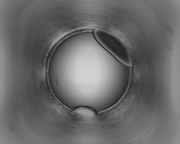 X0000111831316200907231308