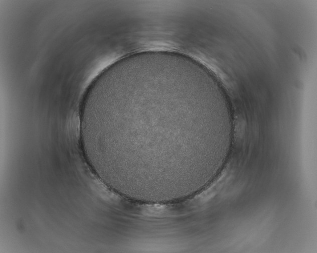 X0000111831317200907231308