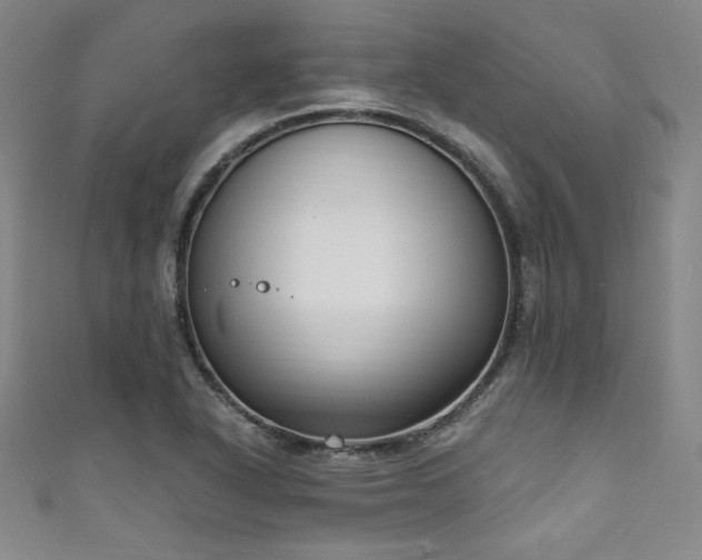 X0000111831318200907231309
