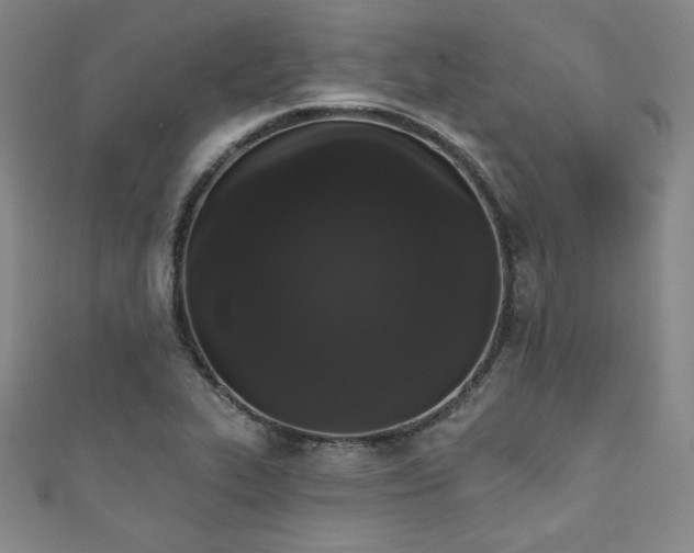 X0000111831319200907231309