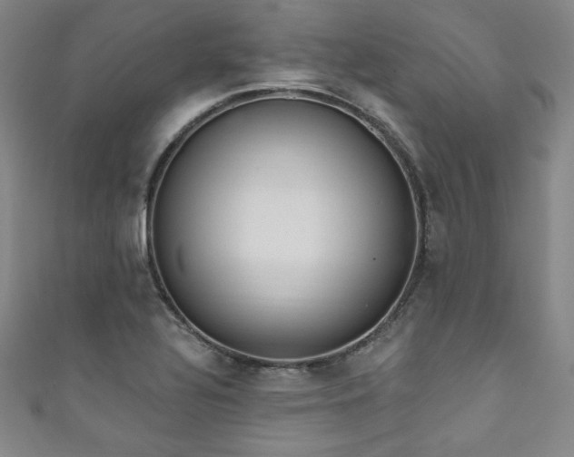 X0000111831320200907231309