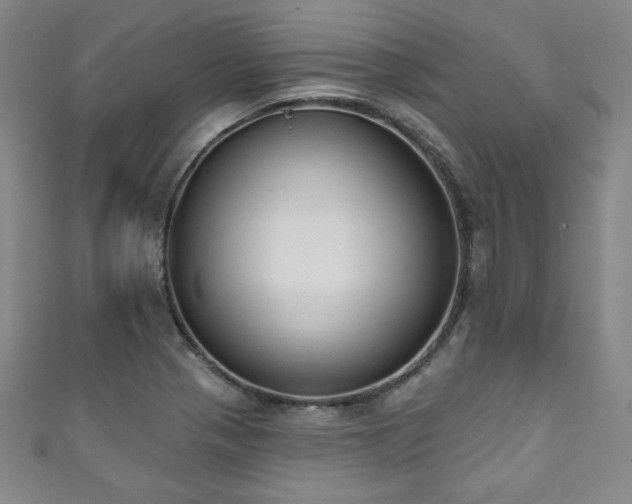 X0000111831321200907231309