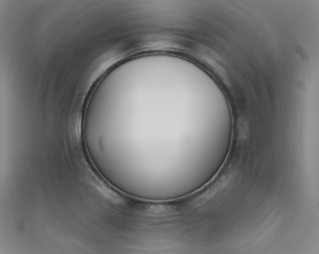 X0000111831322200907231309