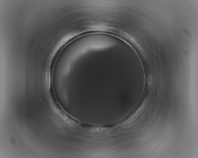 X0000111831323200907231309