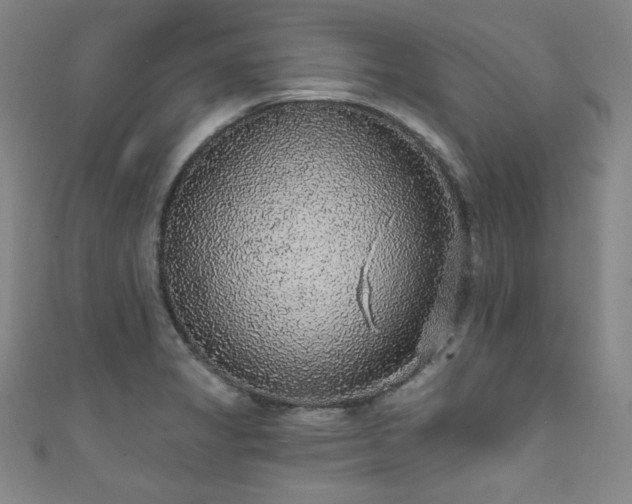 X0000111831325200907231309