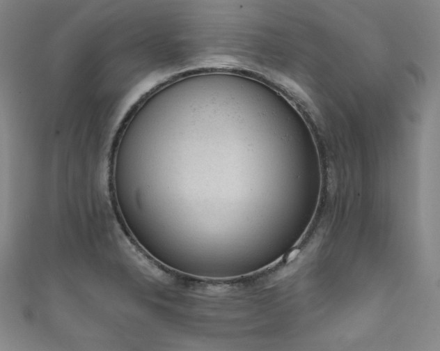 X0000111831326200907231309
