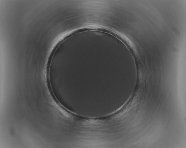 X0000111831327200907231309