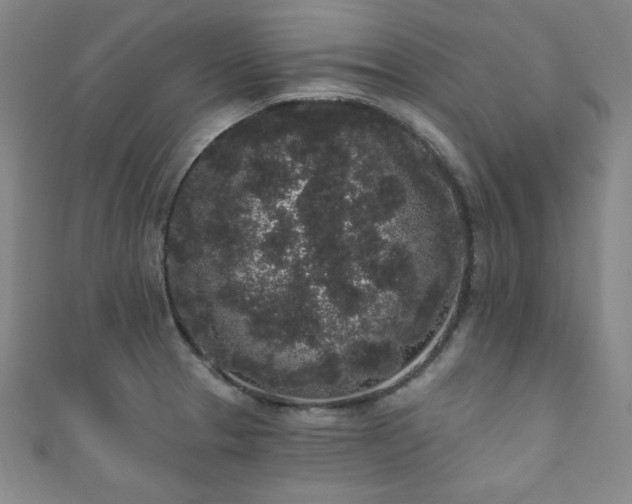 X0000111831329200907231309