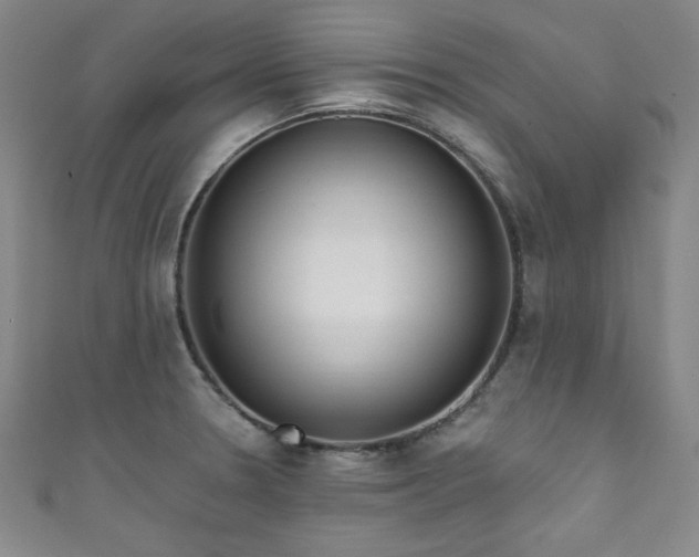 X0000111831330200907231309