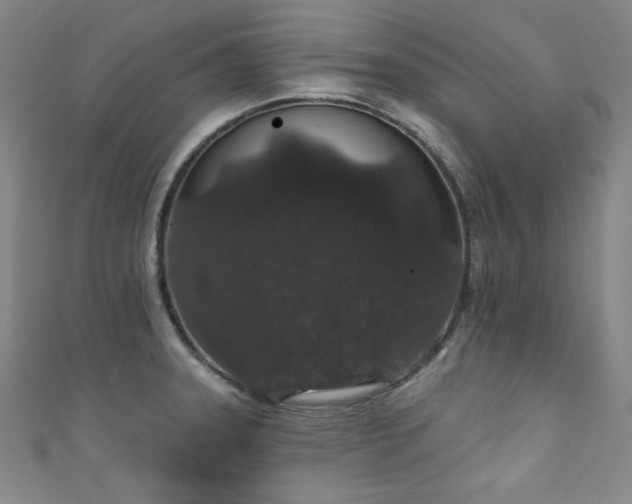 X0000111831331200907231309