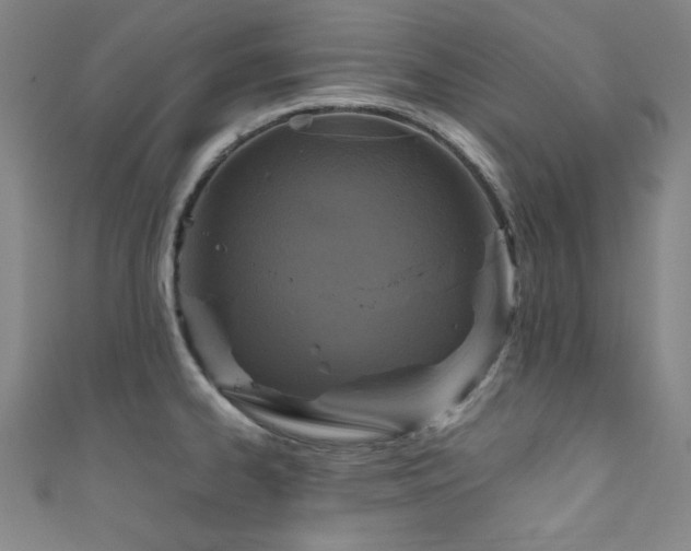 X0000111831334200907231309