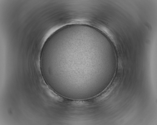 X0000111831336200907231309