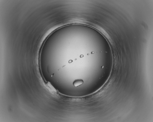 X0000111831339200907231309