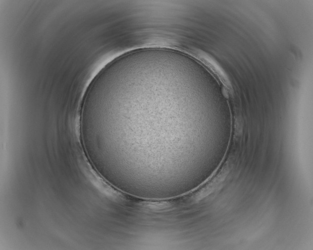 X0000111831340200907231309