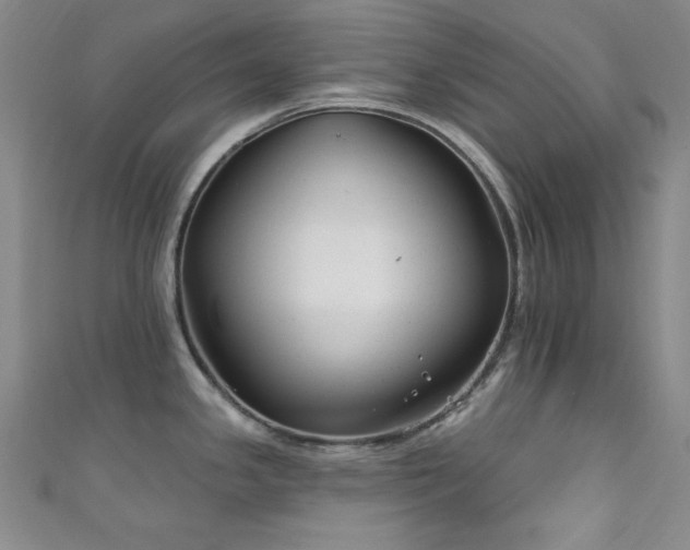 X0000111831341200907231309