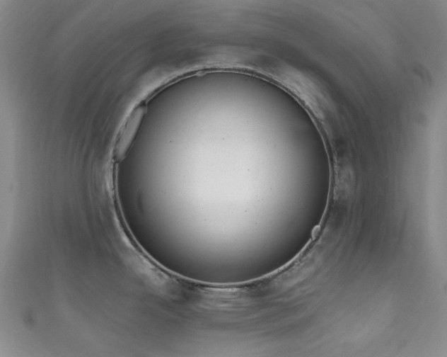 X0000111831342200907231309
