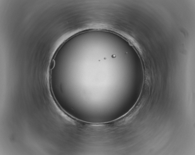 X0000111831343200907231309