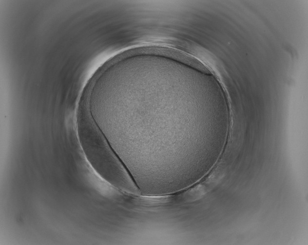 X0000111831344200907231309