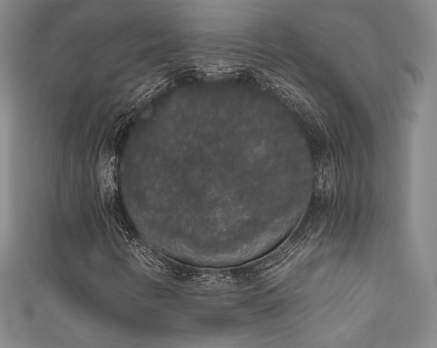 X0000111831346200907231308