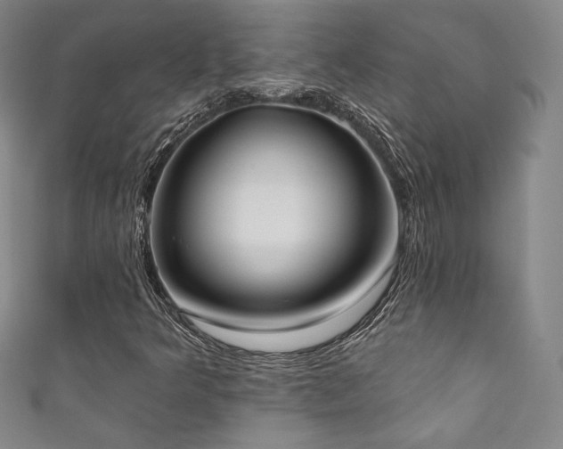 X0000111831349200907231308