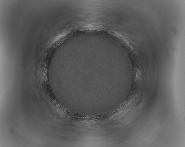 X0000111831350200907231308