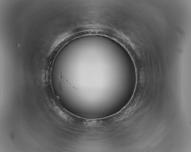 X0000111831352200907231308