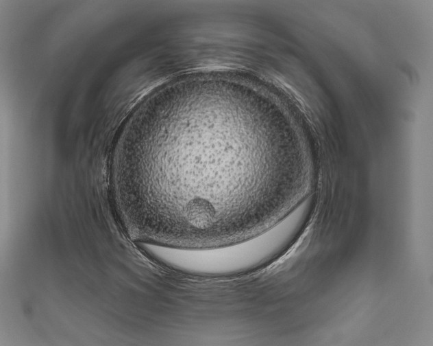 X0000111831353200907231308