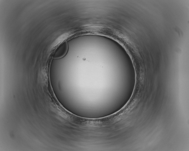 X0000111831354200907231308