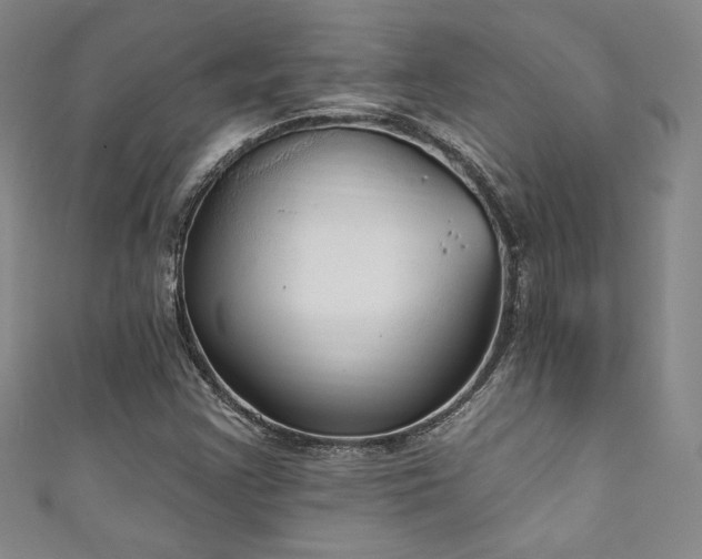 X0000111831355200907231308