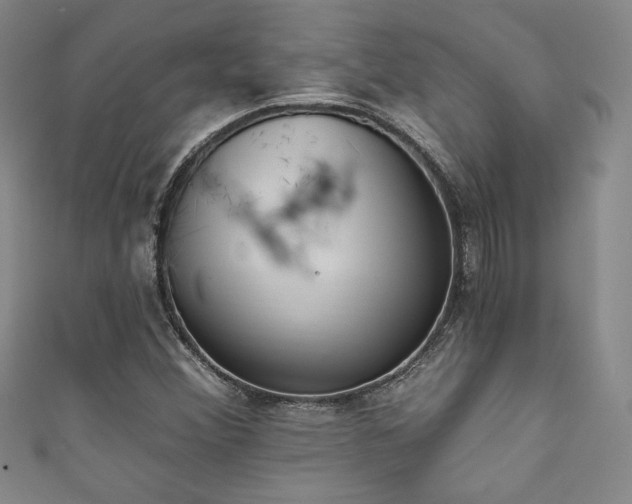 X0000111831356200907231308