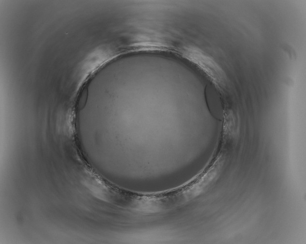 X0000111831357200907231308