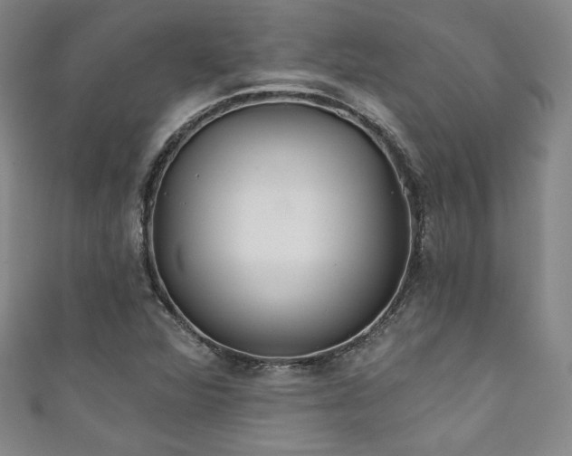 X0000111831360200907231308