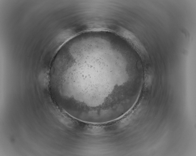 X0000111831361200907231308