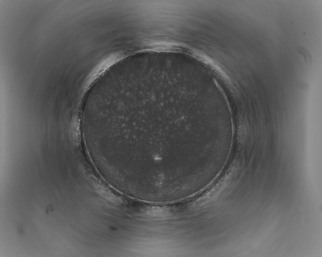 X0000111831362200907231308