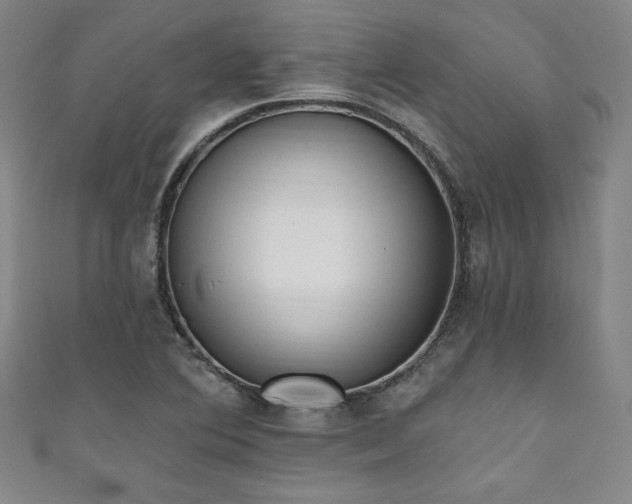 X0000111831364200907231308