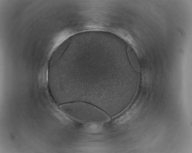X0000111831365200907231308