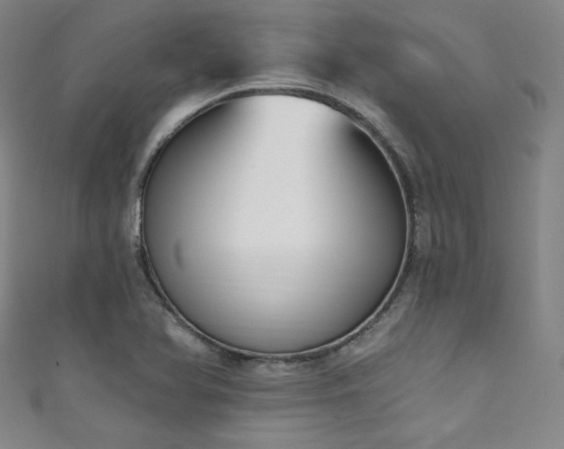 X0000111831366200907231308