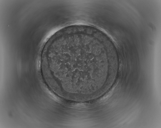 X0000111831367200907231308