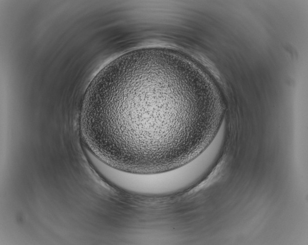X0000111831369200907231308