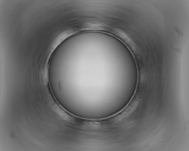 X0000111831370200907231308
