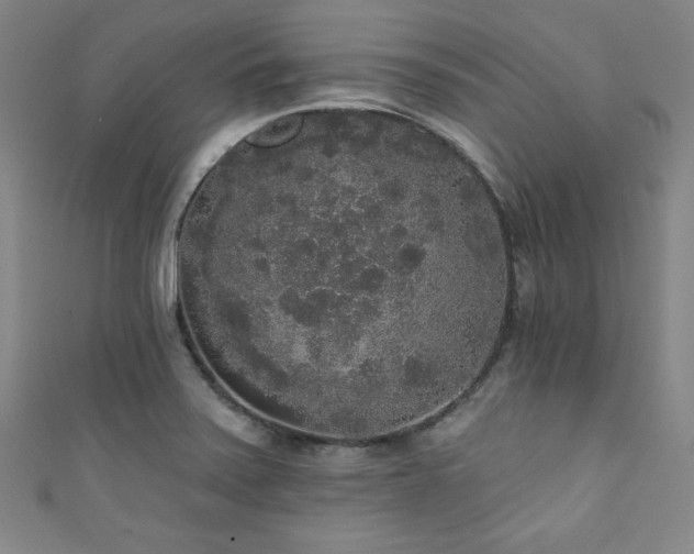 X0000111831371200907231308