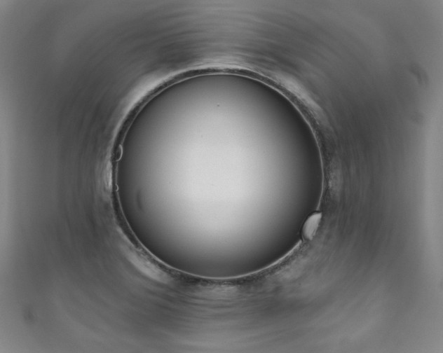 X0000111831372200907231308