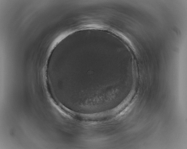 X0000111831373200907231308