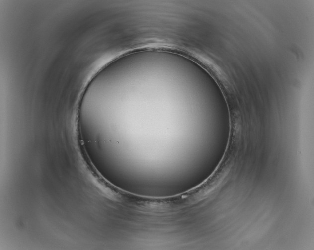 X0000111831375200907231308
