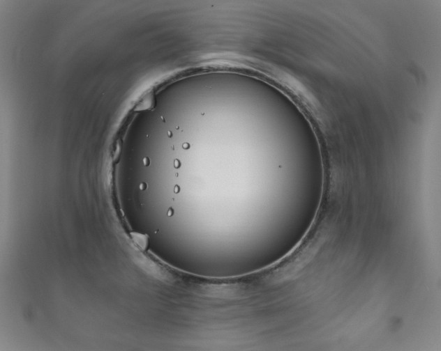X0000111831376200907231308